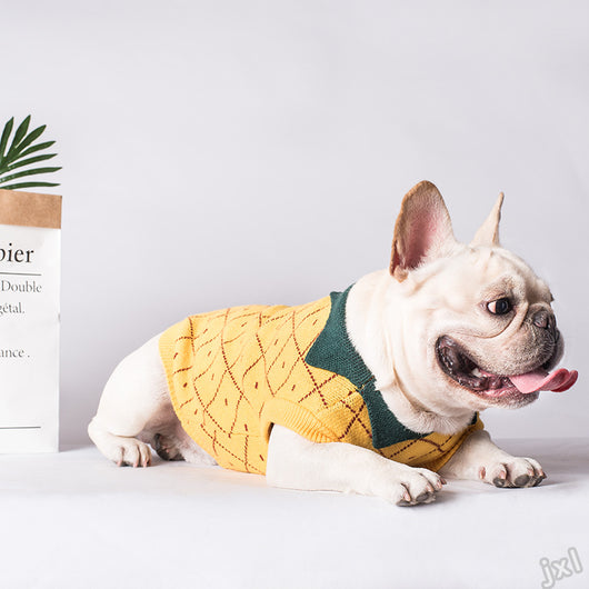 Ropa para Perros - Image 9