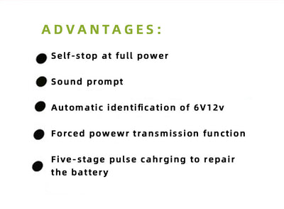Cargador de Batería Inteligente 12V-24V - Image 13