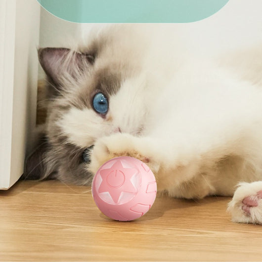 Pink smart rolling ball cat toy with a power button, measuring 41x41mm, designed to be bite-resistant. - Image 12