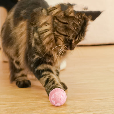 Pink smart rolling ball cat toy with a power button, measuring 41x41mm, designed to be bite-resistant. - Image 14