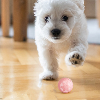 Pink smart rolling ball cat toy with a power button, measuring 41x41mm, designed to be bite-resistant. - Image 19