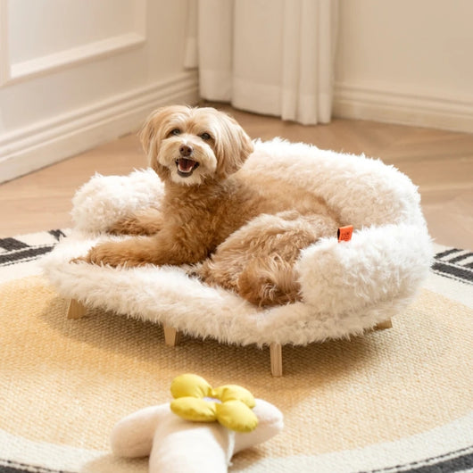 Cama de Madera Lujo para Perros y Gatos - Cómoda y Segura - Image 23