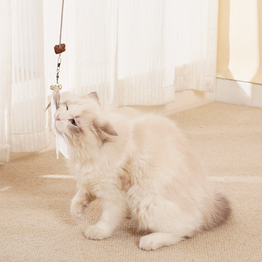 Juguete Educativo para Gatos con Bola Dispensadora de Alimento Liofilizado - Image 15