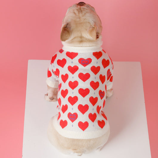 Suéter Tejido para Schnauzer y Gatos Pequeños - Image 14