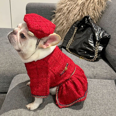 Ropa Premium para Mascotas - Colección Trendy - Image 12