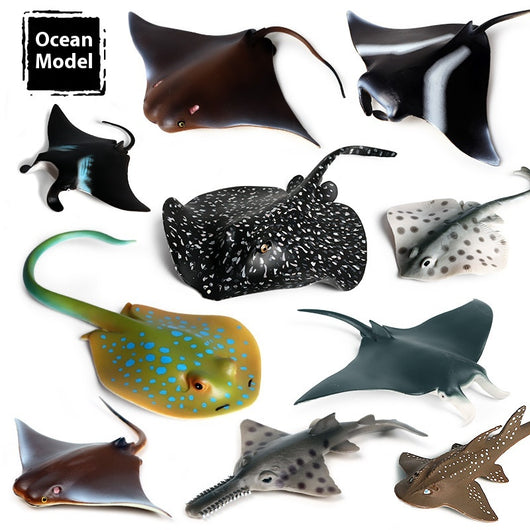 Juego Educativo de Animales Marinos Realistas para Niños - Image 85