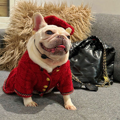 Ropa Premium para Mascotas - Colección Trendy - Image 16