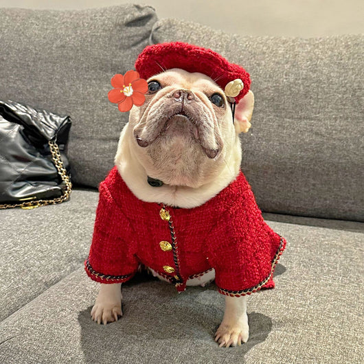 Ropa Premium para Mascotas - Colección Trendy - Image 19