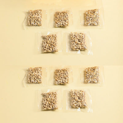 Kit de Pasto Hidropónico para Gatos sin Tierra - Image 9