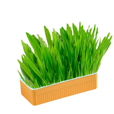 Kit de Pasto Hidropónico para Gatos sin Tierra - Image 10