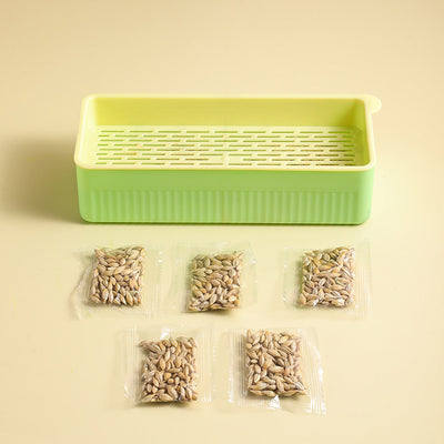Kit de Pasto Hidropónico para Gatos sin Tierra - Image 11