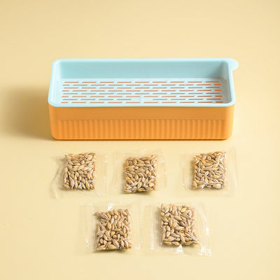 Kit de Pasto Hidropónico para Gatos sin Tierra - Image 12