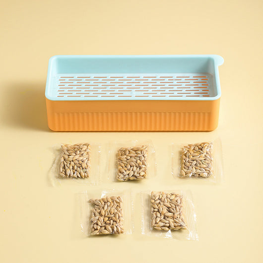 Kit de Pasto Hidropónico para Gatos sin Tierra - Image 12