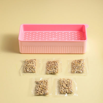 Kit de Pasto Hidropónico para Gatos sin Tierra - Image 14