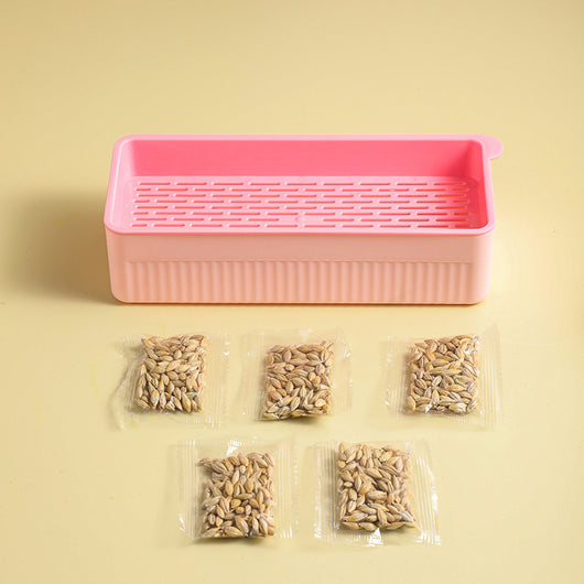 Kit de Pasto Hidropónico para Gatos sin Tierra - Image 14