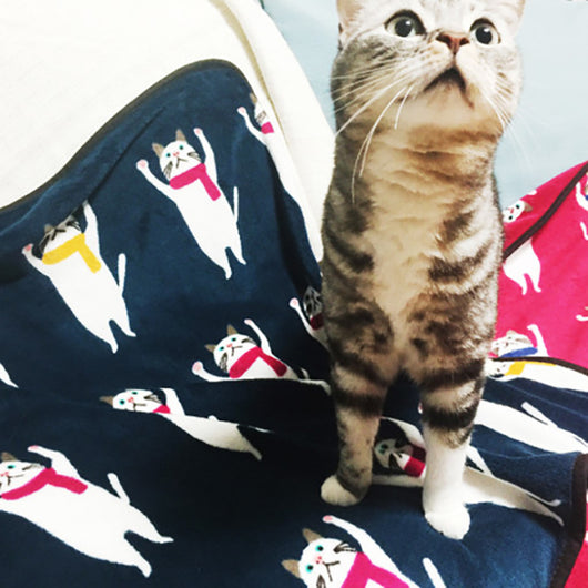 Manta Térmica de Franela Coral con Estampado - Ideal para Aire Acondicionado y Mascotas - Image 32