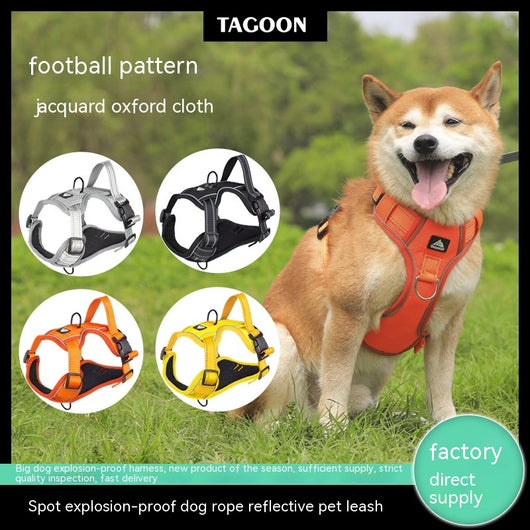 Arnés Reflectante para Perro con Cuerda Antiexplosión - Seguridad Máxima para tu Mascota - Image 17