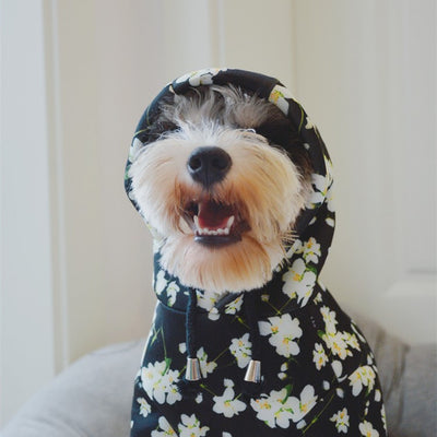 Sudadera Térmica para Perros con Estampado Espacial - Image 9