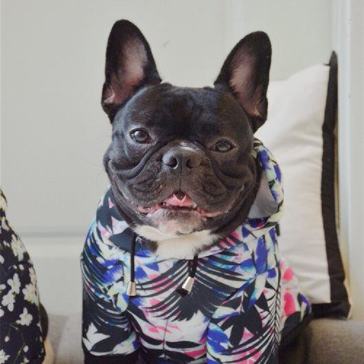Sudadera Térmica para Perros con Estampado Espacial - Image 10