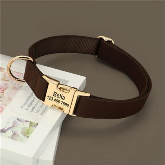 Collar de Adiestramiento para Perros Pequeños Corgi - Image 10
