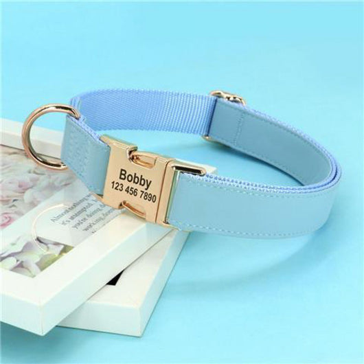 Collar de Adiestramiento para Perros Pequeños Corgi - Image 12