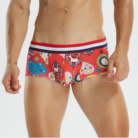 Calzoncillos Boxer de Algodón Coloreado con Diseño Convexo Talle Bajo - Image 8