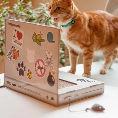 Cuaderno Rascador para Gatos con Cartón Corrugado Plegable - Image 17