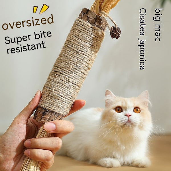 Juguete Masticable para Gatos con Catnip - Varita Molar Antiaburrimiento