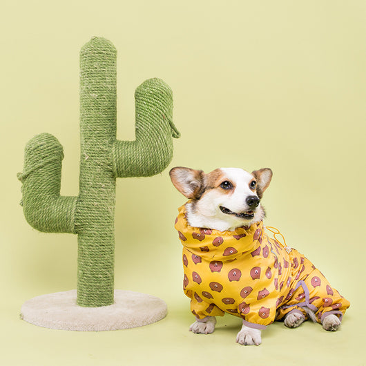 Impermeable Completo para Perros Pequeños Golden Retriever y Corgi - Image 15