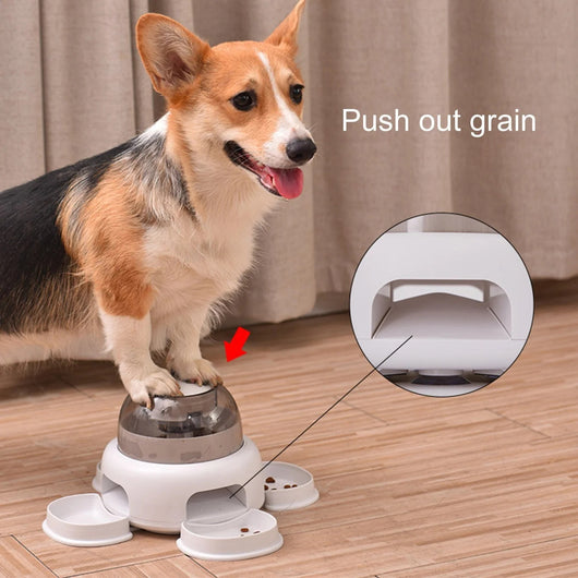 Comedero Automático Inteligente para Perros con Control de Porciones - Image 19