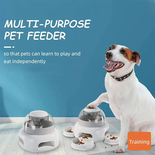 Comedero Automático Inteligente para Perros con Control de Porciones - Image 21