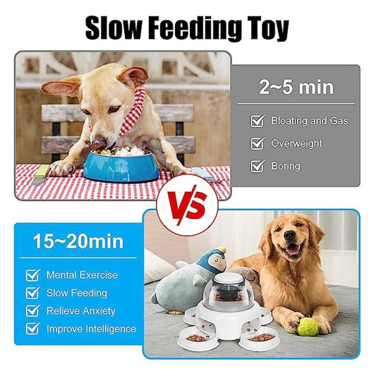 Comedero Automático Inteligente para Perros con Control de Porciones - Image 22
