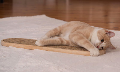 Rascador de Pared para Gatos con Sisal y Cáñamo - Image 8