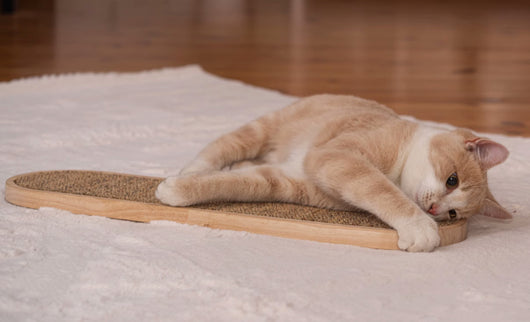 Rascador de Pared para Gatos con Sisal y Cáñamo - Image 8