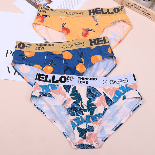 Calzoncillos Talla Grande para Niños en Algodón Premium - Image 29