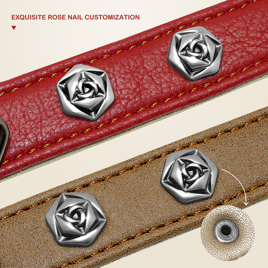 Collar de Cuero para Mascotas - Image 6