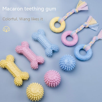 Three colorful fish skeleton dog toys in blue, green, and pink, measuring 13cm long and 5cm wide. - Image 14