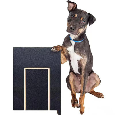 Tabla Raspadora de Madera Maciza para Uñas de Perros - Image 16