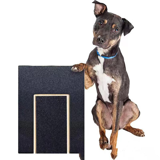 Tabla Raspadora de Madera Maciza para Uñas de Perros - Image 16