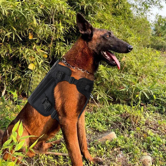 Chaleco Táctico Impermeable para Pastor Alemán con Correa de Pecho a Prueba de Explosiones - Image 22