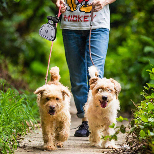 Blue and black foldable pet poop bag dispenser with an integrated scoop, ideal for travel and outdoor use. - Image 20