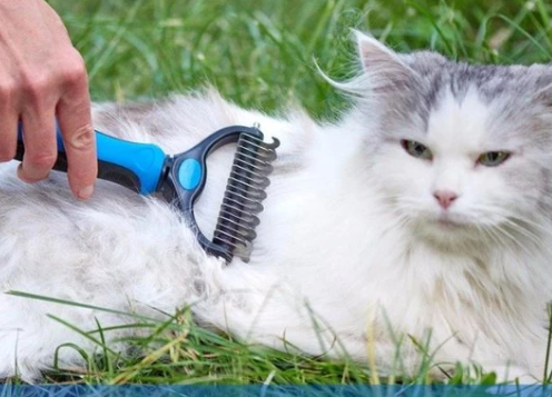 Peine Desenredante de Bordes Redondeados para Perros y Gatos - Image 6
