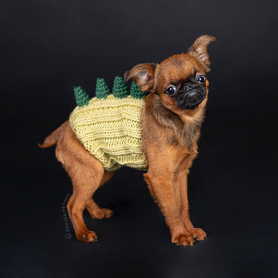 Gorro Tejido Dinosaurio para Perros - Cálido, Impermeable y Divertido - Image 10