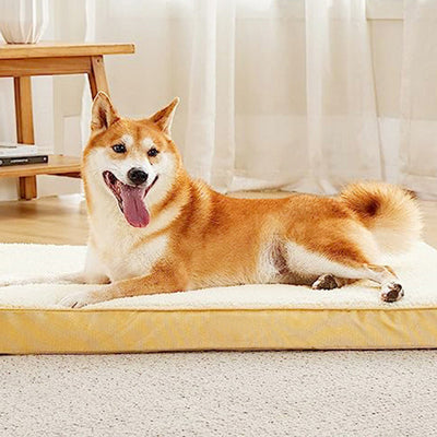Colchoneta para Jaula de Perro Extraíble y Lavable - Image 17