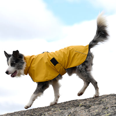 Impermeable para Perros - Chaqueta Protectora Resistente al Viento y Lluvia - Image 9