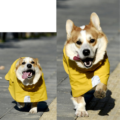 Impermeable para Perros - Chaqueta Protectora Resistente al Viento y Lluvia - Image 10
