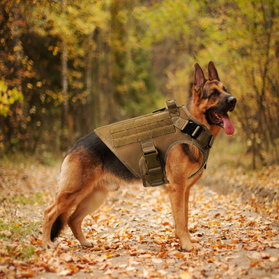 Chaleco Táctico para Perros con Correas de Control - Image 9
