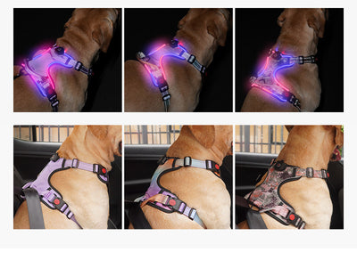 Arnés Luminoso LED Recargable para Mascotas - Image 10