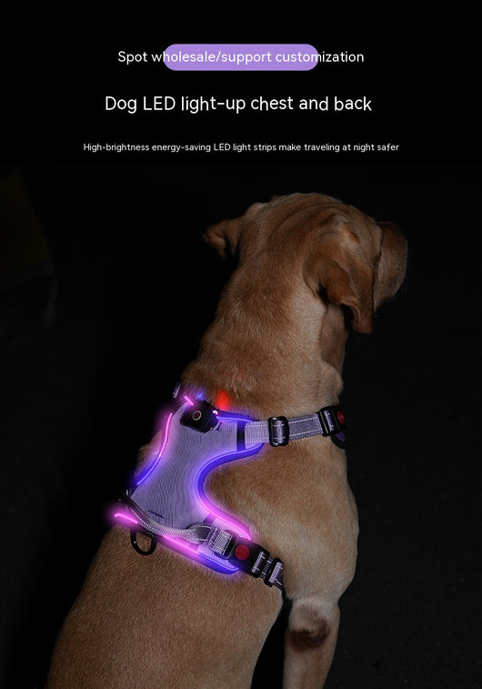 Arnés Luminoso LED Recargable para Mascotas - Image 18