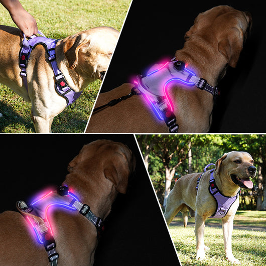 Arnés Luminoso LED Recargable para Mascotas - Image 26